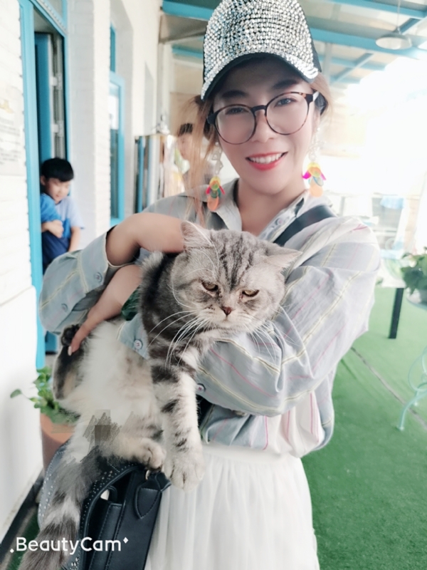 小黑猫的第一张照片--哈尔滨相亲服务中心