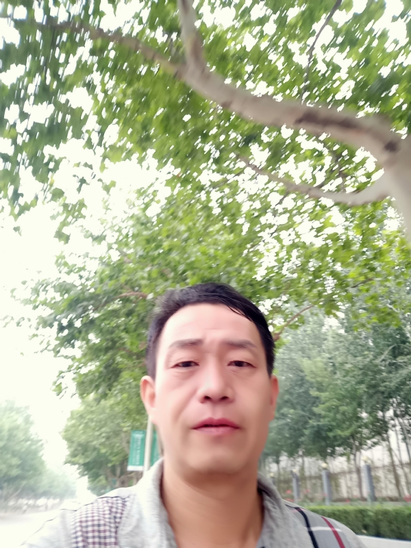 阳光的第一张照片--哈尔滨相亲服务中心