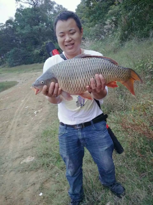 迷路的男人的第一张照片--哈尔滨相亲服务中心