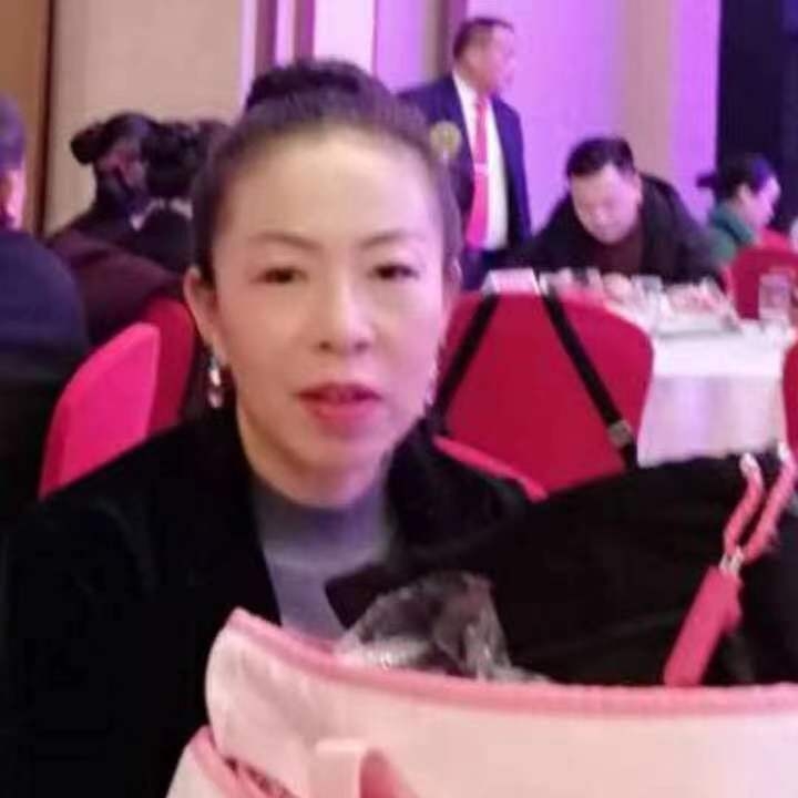 中秋桂花玉兔的第四张照片--哈尔滨相亲服务中心