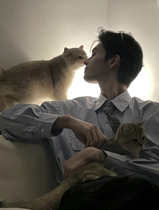 怪猫的第一张照片--哈尔滨相亲服务中心